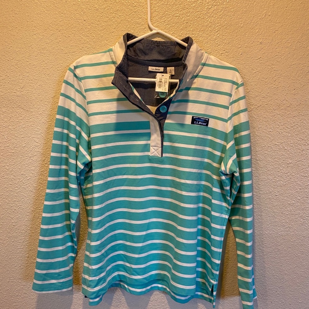 Turquoise striped L.L. bean collared sweater
